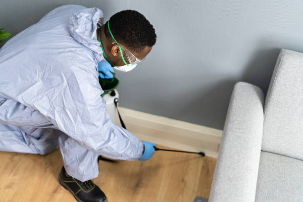 Best Fumigation Services  in Sto Brook University, NY